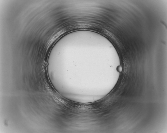 X0000102500786200808291710