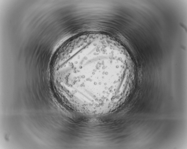 X0000102500787200808291710