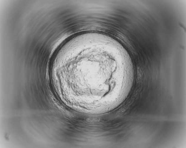 X0000102500788200808291710