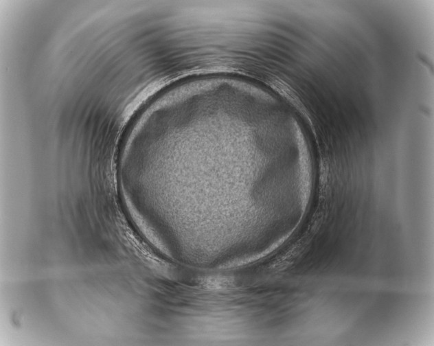 X0000102500789200808291710