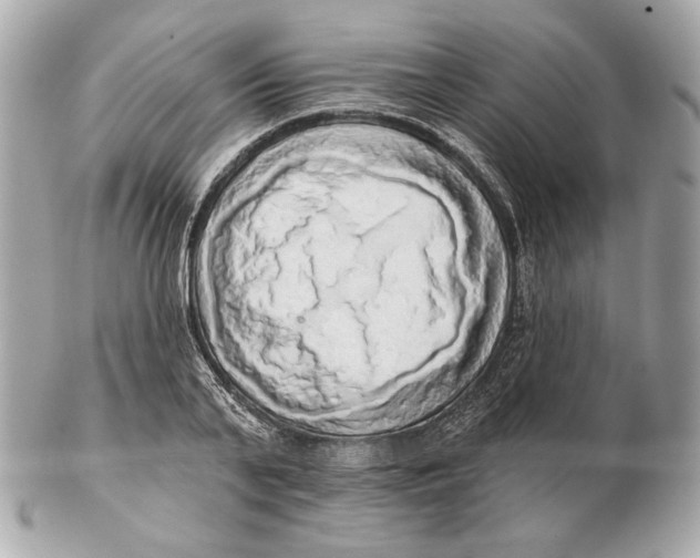 X0000102500791200808291710