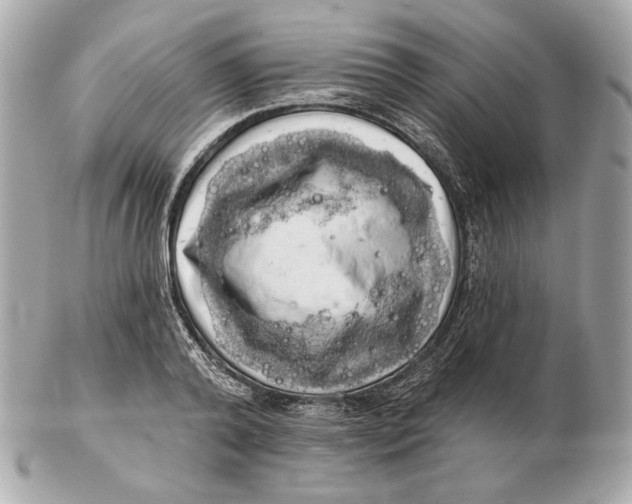 X0000102500792200808291710