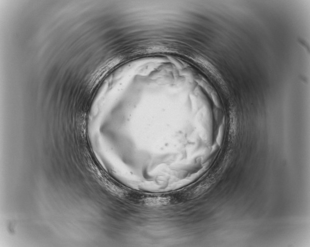 X0000102500793200808291710