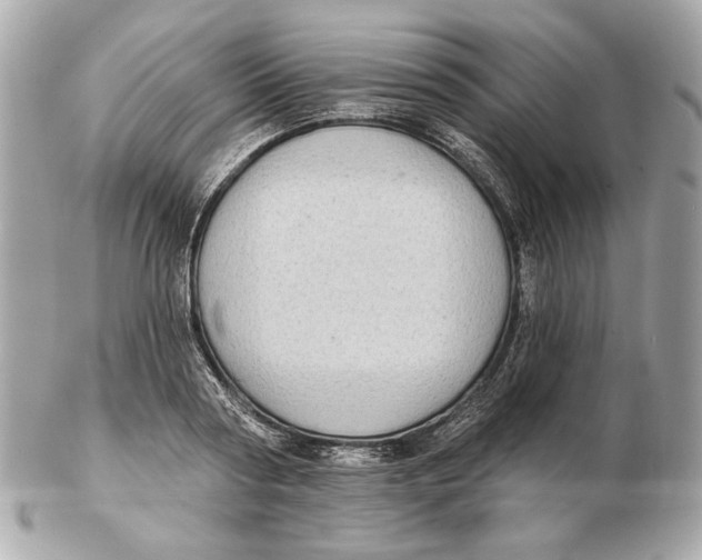 X0000102500794200808291710