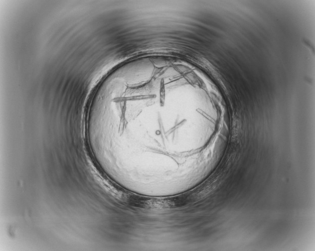 X0000102500795200808291710