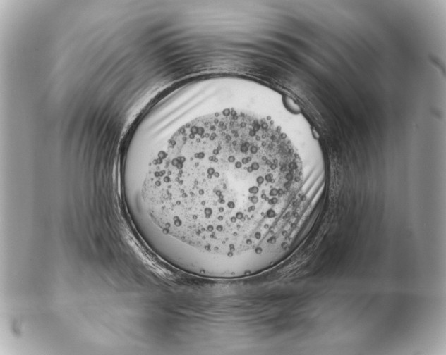 X0000102500796200808291710