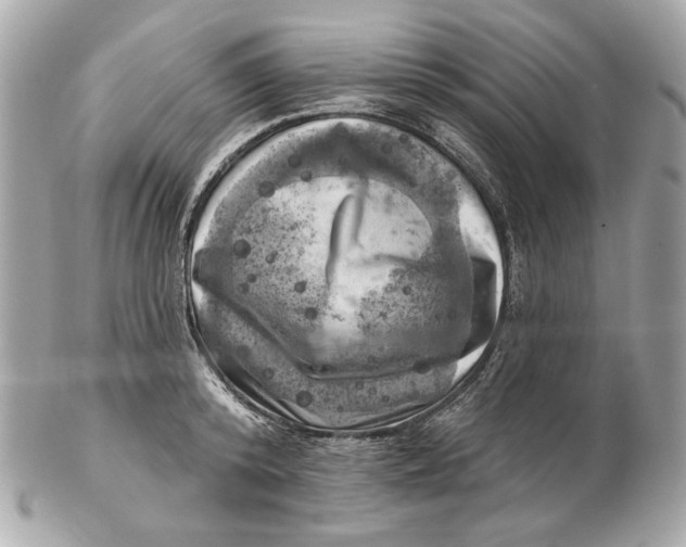 X0000102500800200808291710