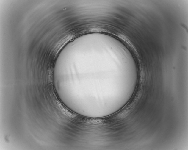 X0000102500801200808291710