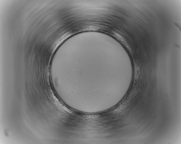 X0000102500802200808291710