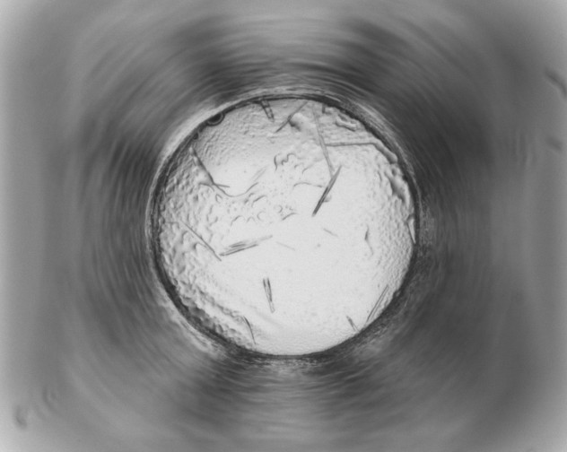 X0000102500803200808291710