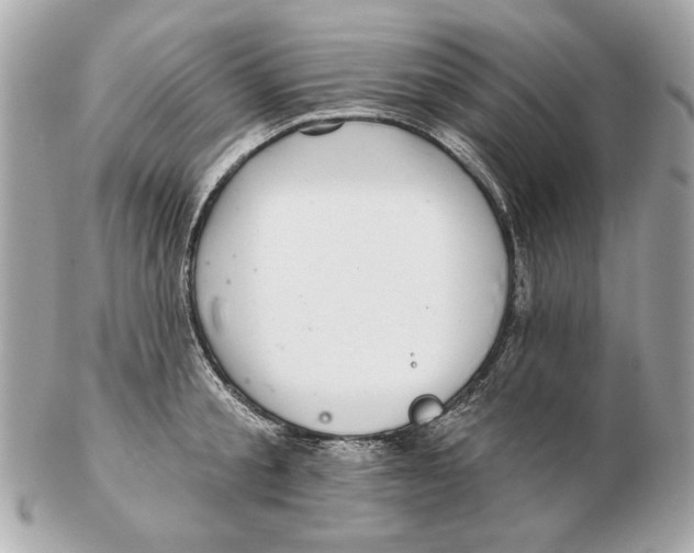 X0000102500805200808291710