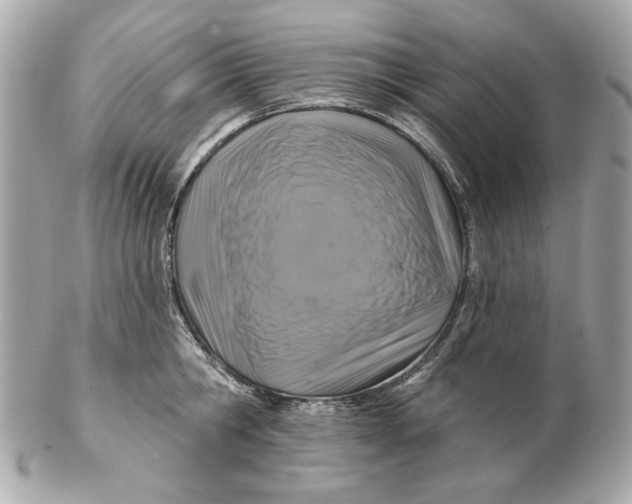 X0000102500806200808291710