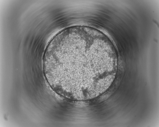 X0000102500807200808291710