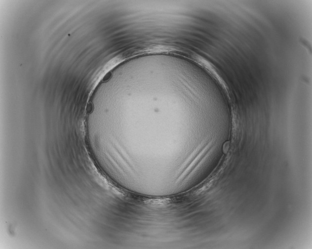 X0000102500810200808291710