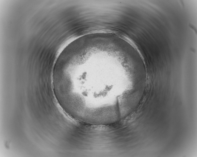 X0000102500811200808291710