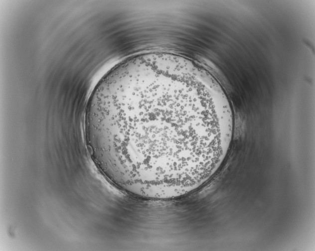 X0000102500812200808291710