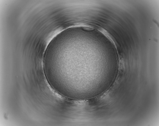 X0000102500813200808291710