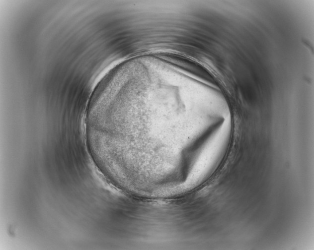 X0000102500814200808291710