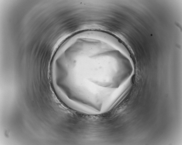 X0000102500815200808291710