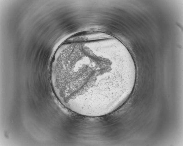 X0000102500816200808291710