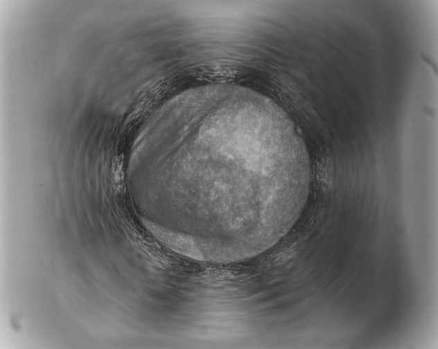 X0000102500818200808291709