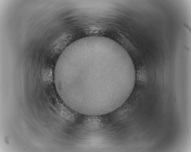 X0000102500820200808291709