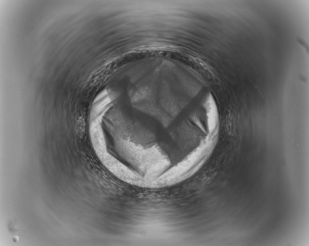 X0000102500821200808291709