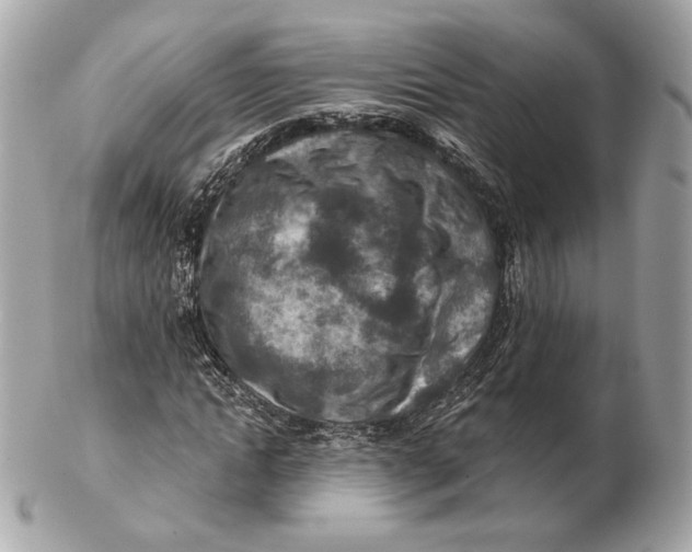 X0000102500822200808291709