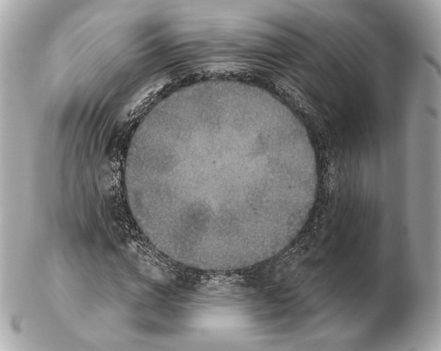 X0000102500824200808291709