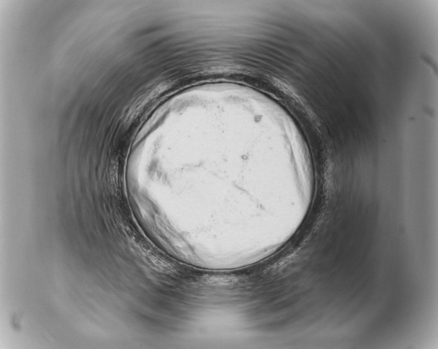 X0000102500825200808291709