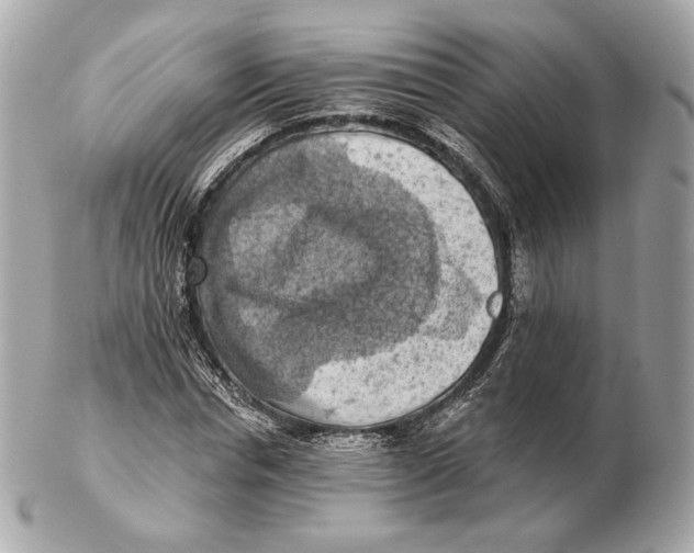 X0000102500826200808291709