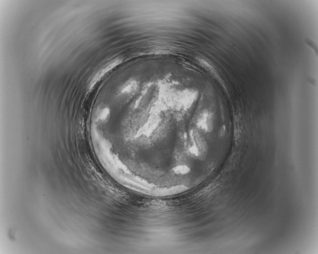 X0000102500827200808291709