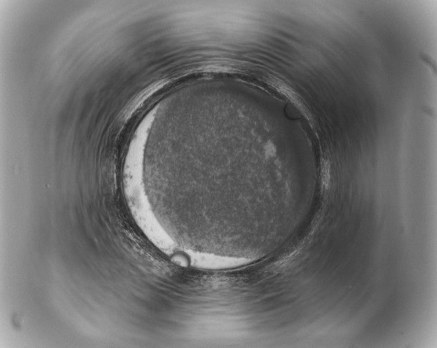 X0000102500829200808291709