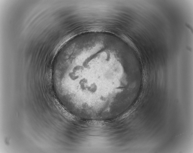 X0000102500831200808291709