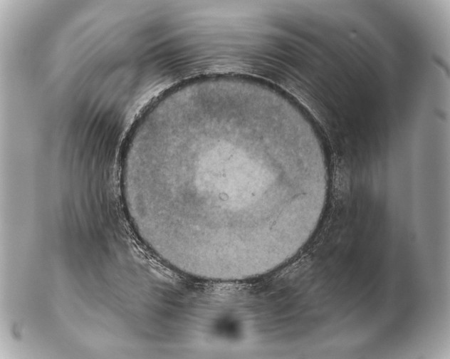 X0000102500832200808291709