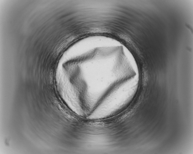 X0000102500833200808291709