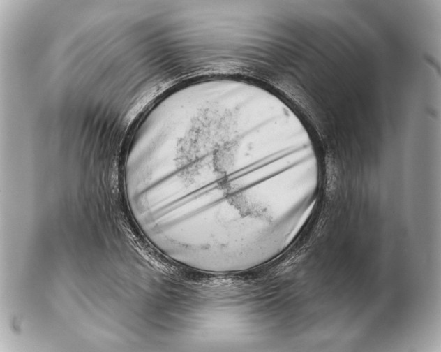 X0000102500834200808291709