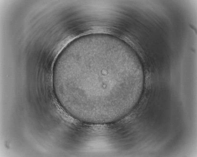 X0000102500836200808291709