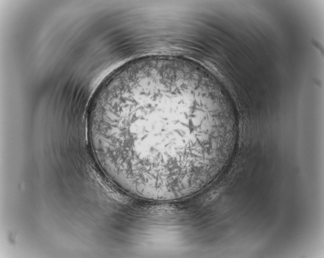 X0000102500838200808291709