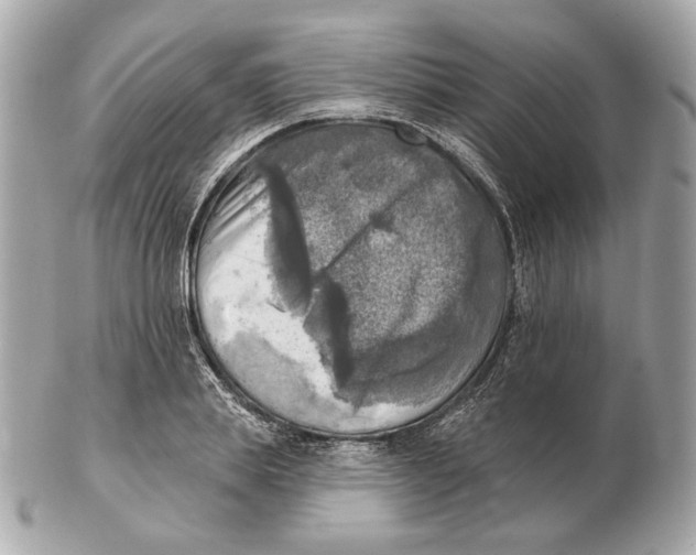 X0000102500839200808291709