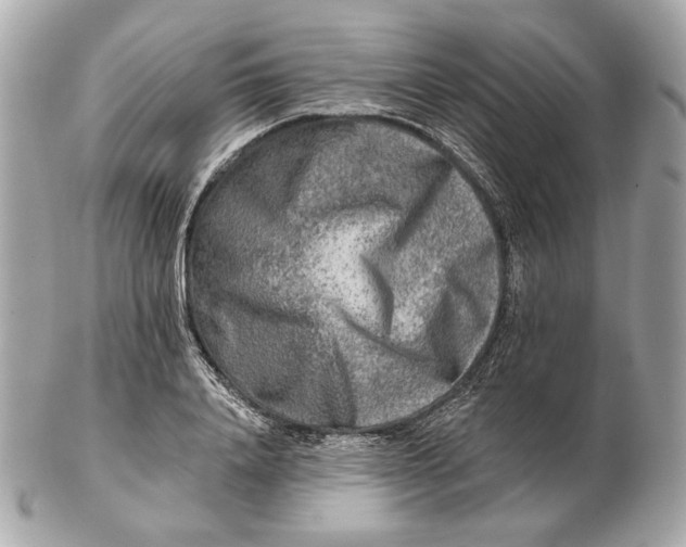 X0000102500840200808291710