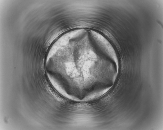 X0000102500842200808291710