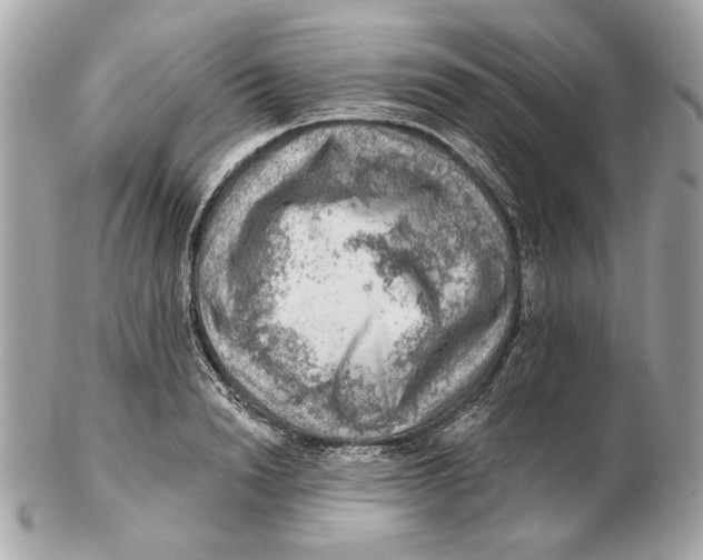 X0000102500846200808291710