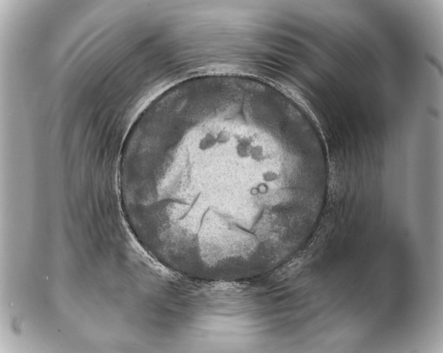 X0000102500847200808291710