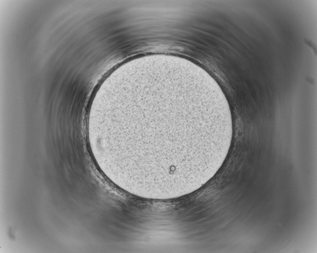 X0000102500848200808291710