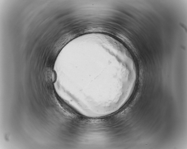 X0000102500849200808291710