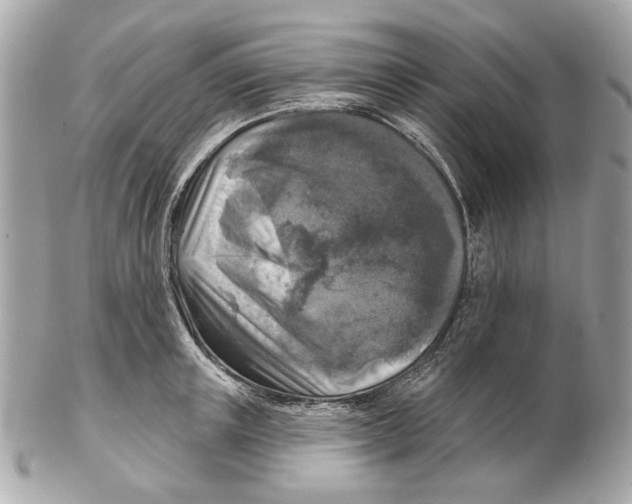 X0000102500851200808291710