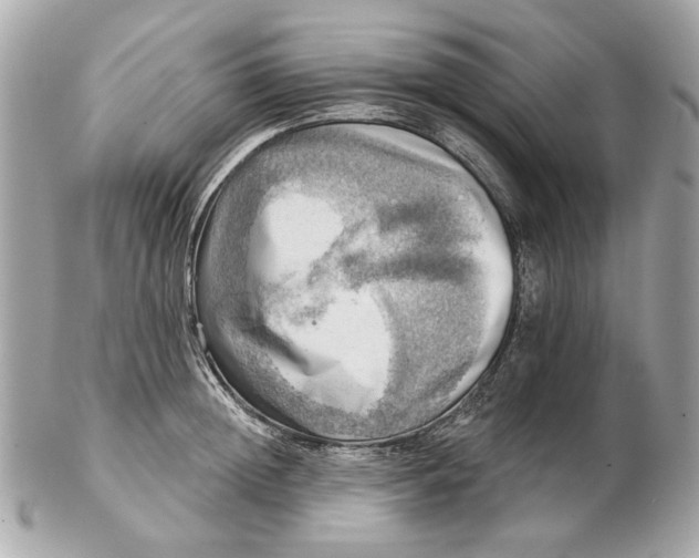 X0000102500852200808291710