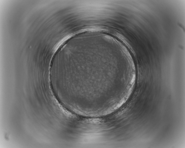 X0000102500853200808291710