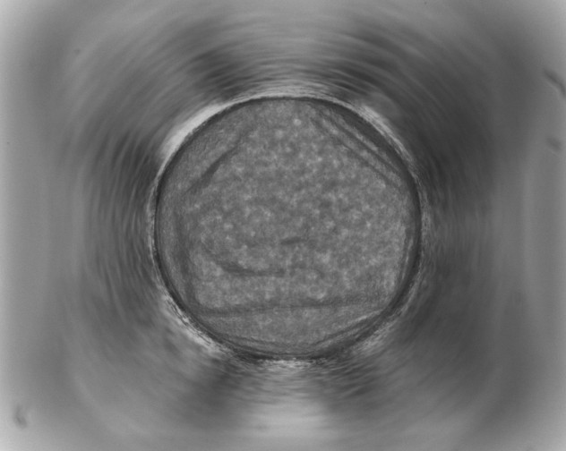 X0000102500854200808291710